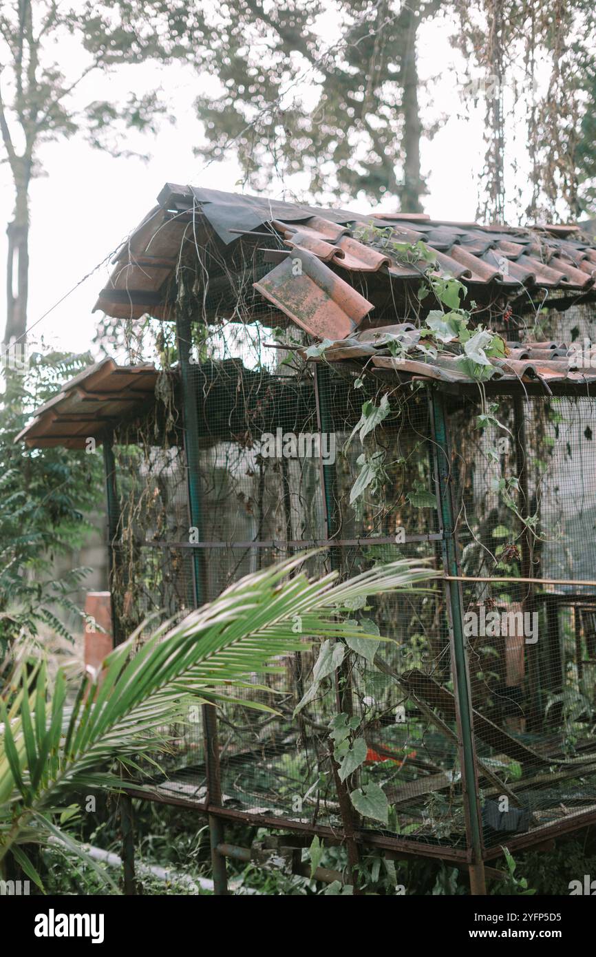 Ein alter, verwitterter Vogelkäfig, der Anzeichen von Verschleiß zeigt, mit verrosteten Stäben und verblasster Farbe, die ein Gefühl von Nostalgie und dem Lauf der Zeit wecken Stockfoto