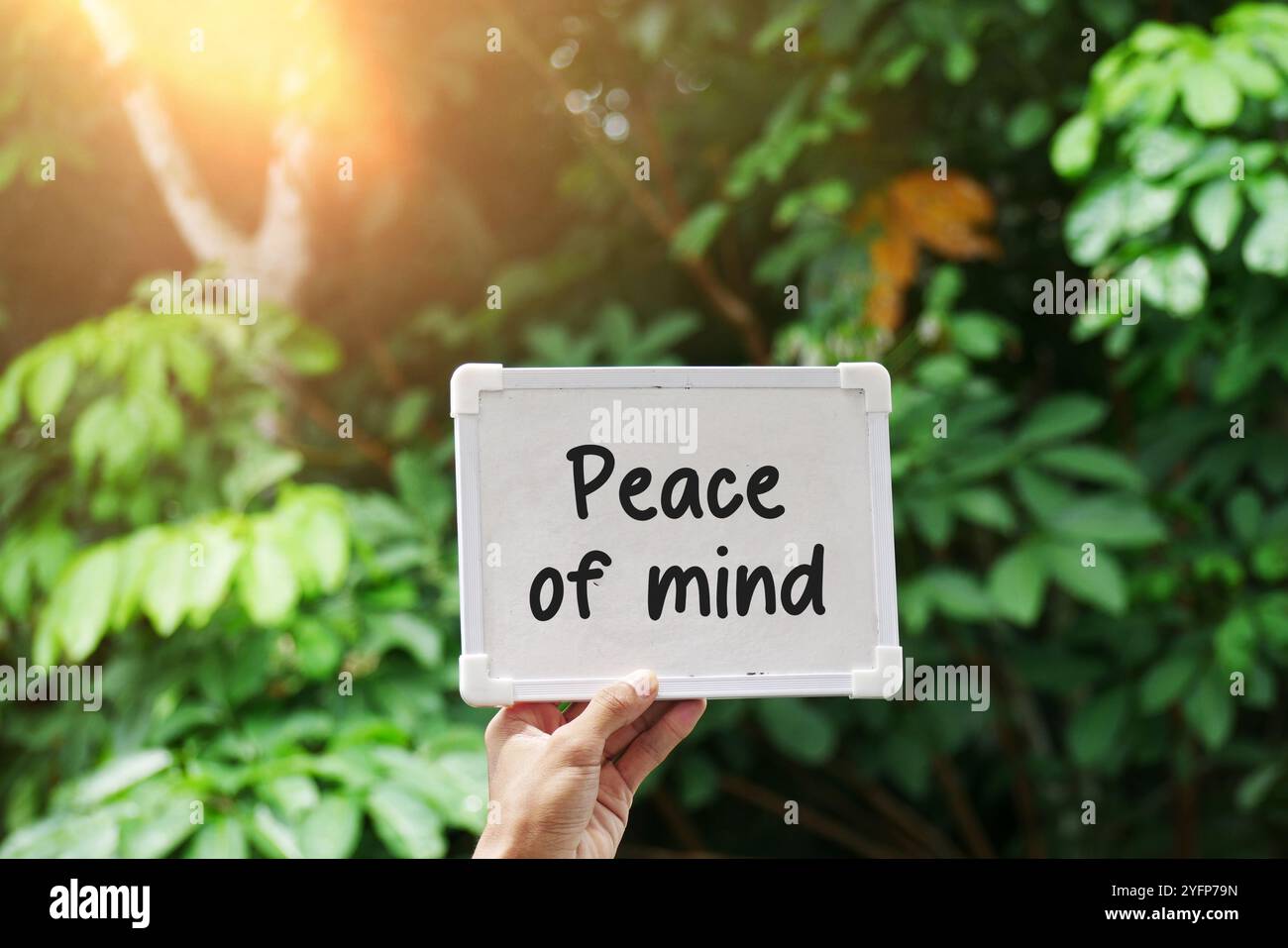 Eine Hand hält eine kleine Tafel mit den Worten „Seelenfrieden“. Der Hintergrund ist ein verschwommenes und weiches Bild von sattgrünen Blättern Stockfoto