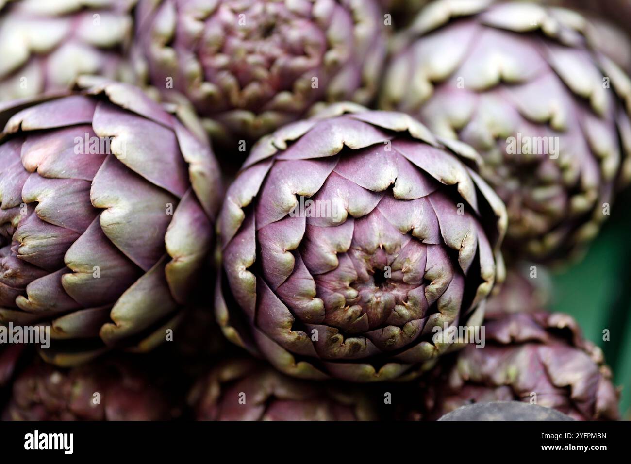 Artischocken auf dem Markt, stallfrei Naschmarkt. Wien. Österreich. Stockfoto