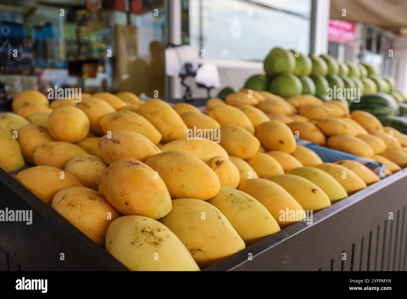 Verkauf tropischer Früchte auf dem Straßenmarkt. Reife gelbe Mangos auf den Regalen Stockfoto