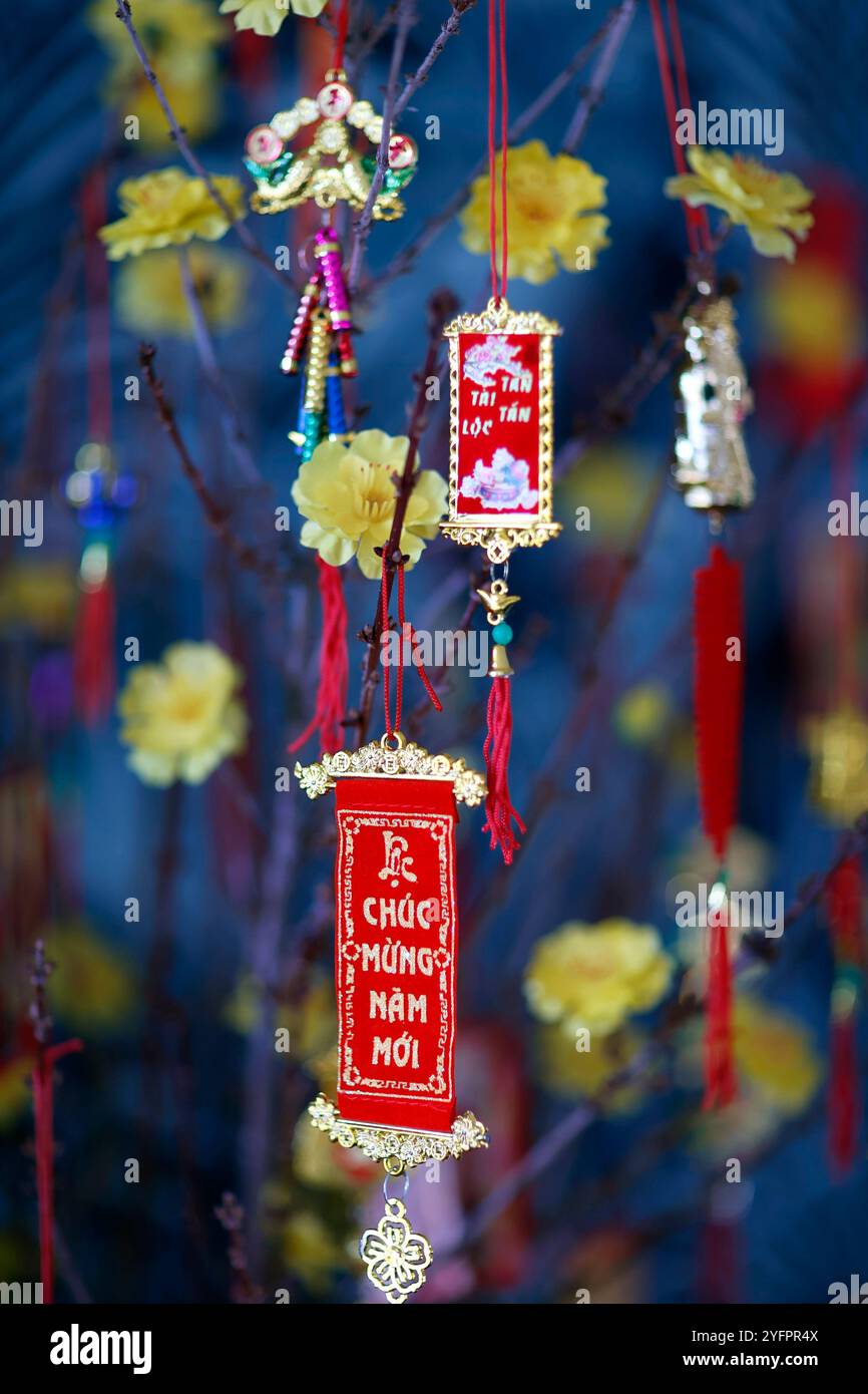 Chinesisches Mondneujahr. Gelber Baum, dekoriert für vietnamesische Tet-Feier. Stockfoto