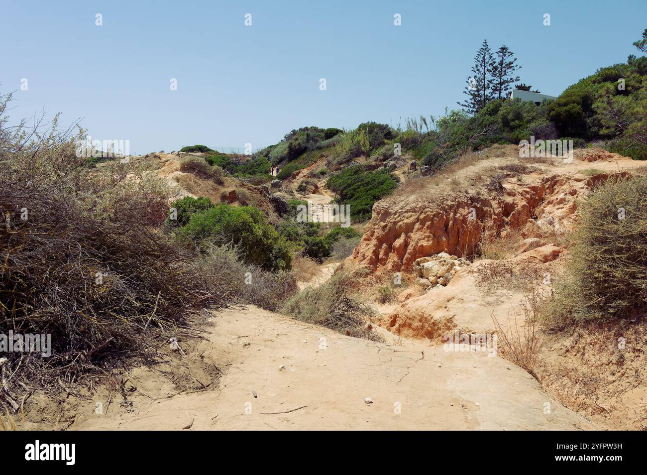 Trockene, zerklüftete Landschaft entlang des Wanderweges in der Nähe von Praia de São Rafael, mit wilder Vegetation und Erdtönen unter der hellen Sonne der Algarve Stockfoto