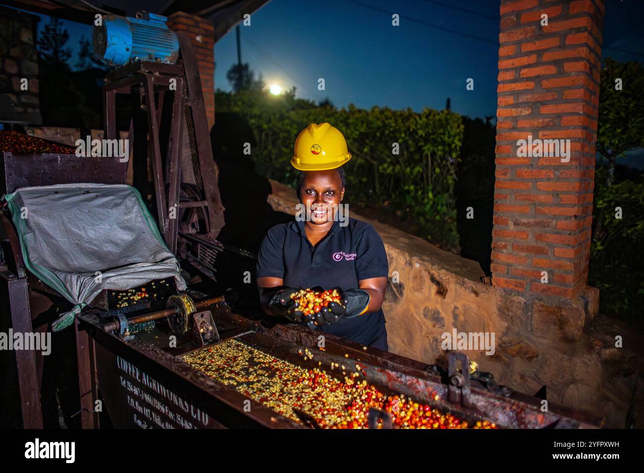 Kaffeewaschstation, Bezirk Rutsiro, nördliche Provinz, Ruanda Stockfoto