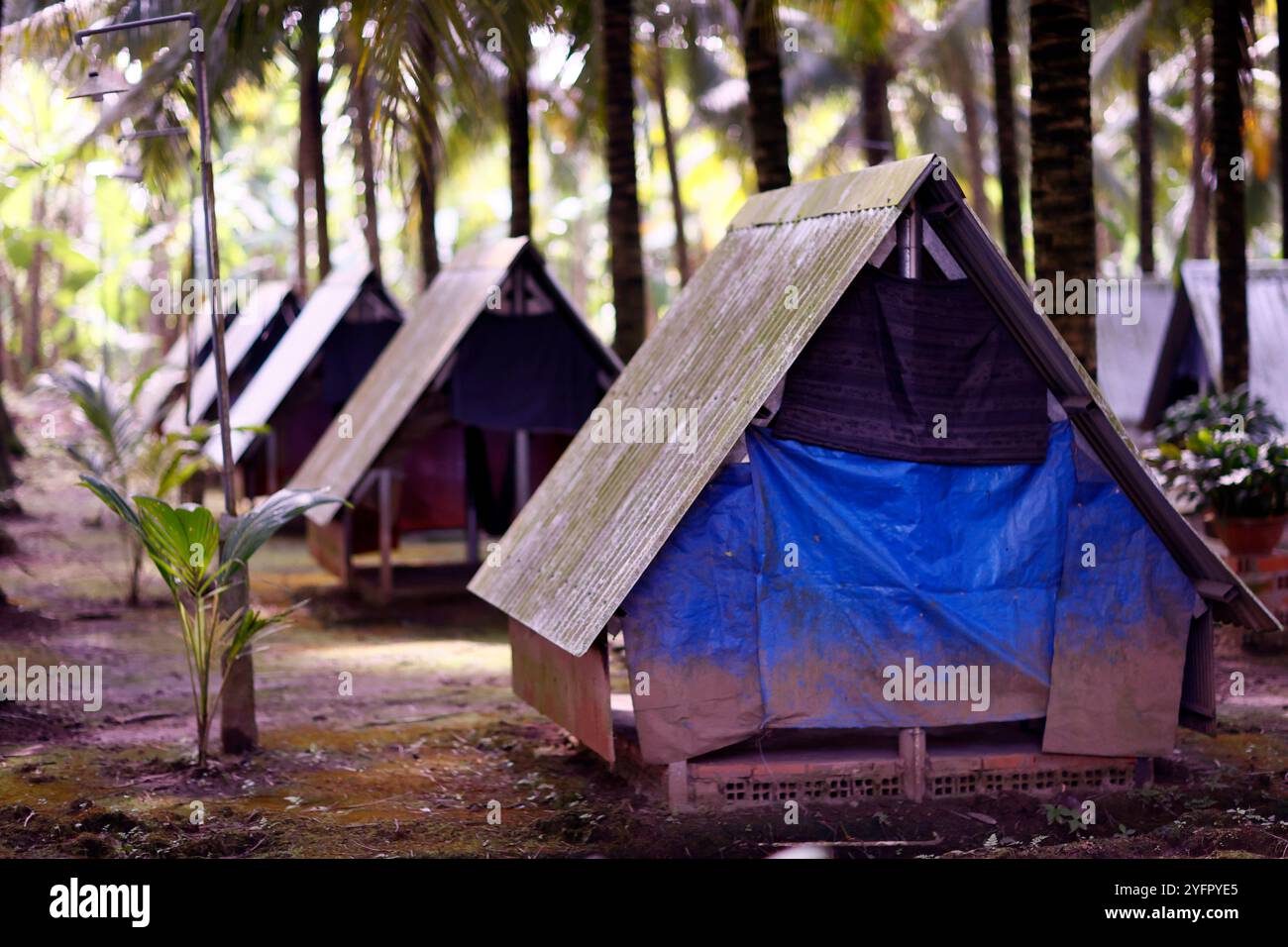 Zelte Camp Unterkunft für den Urlaub. Eine Provinz Giang. Mekong Delta, Vietnam. Stockfoto Zelte Camp Unterkunft für den Urlaub. Eine Provinz Giang. Mekong Delta, Vietnam. Stockfoto