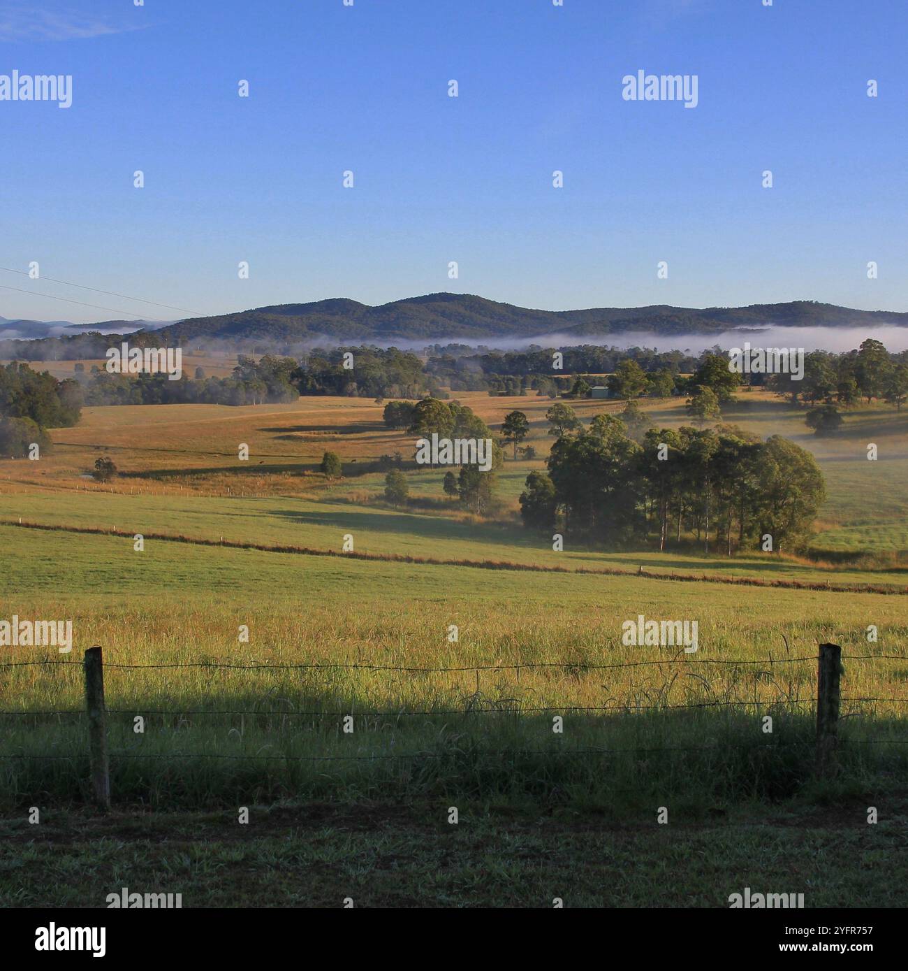 Herbstmorgen im ländlichen Wauchope, Australien Stockfoto