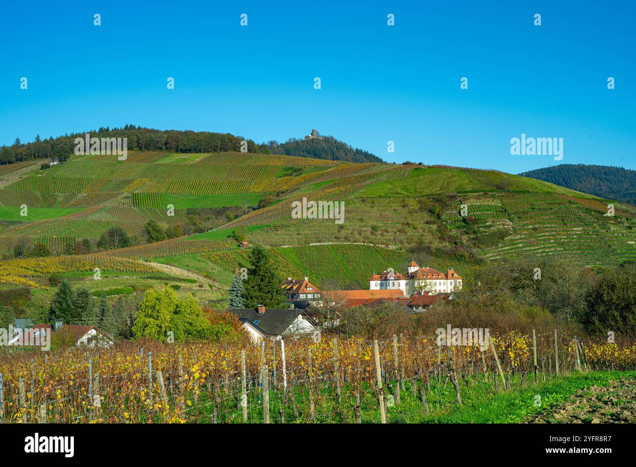 Das schöne Weingut Schloss Neuweier zwischen Sinzheim und Bühl. Baden Württemberg, Deutschland, Europa Stockfoto