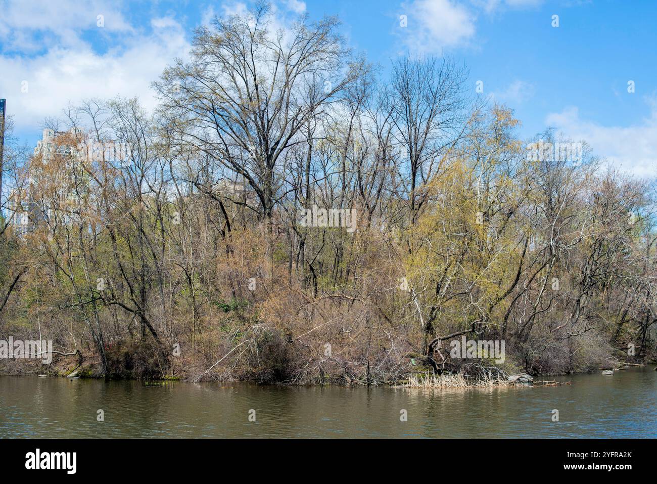 Insel mit Bäumen im Teich New York City, USA. Insel mit Bäumen im Teich, Central Park, Manhattan. New York City Central Park, Manhattan New York Vereinigte Staaten von Amerika Copyright: XGuidoxKoppesxPhotox Stockfoto