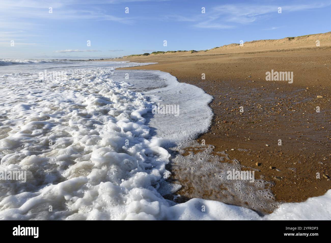 Meeresschaum am wunderschönen Sandstrand des Atlantiks in Frankreich Stockfoto