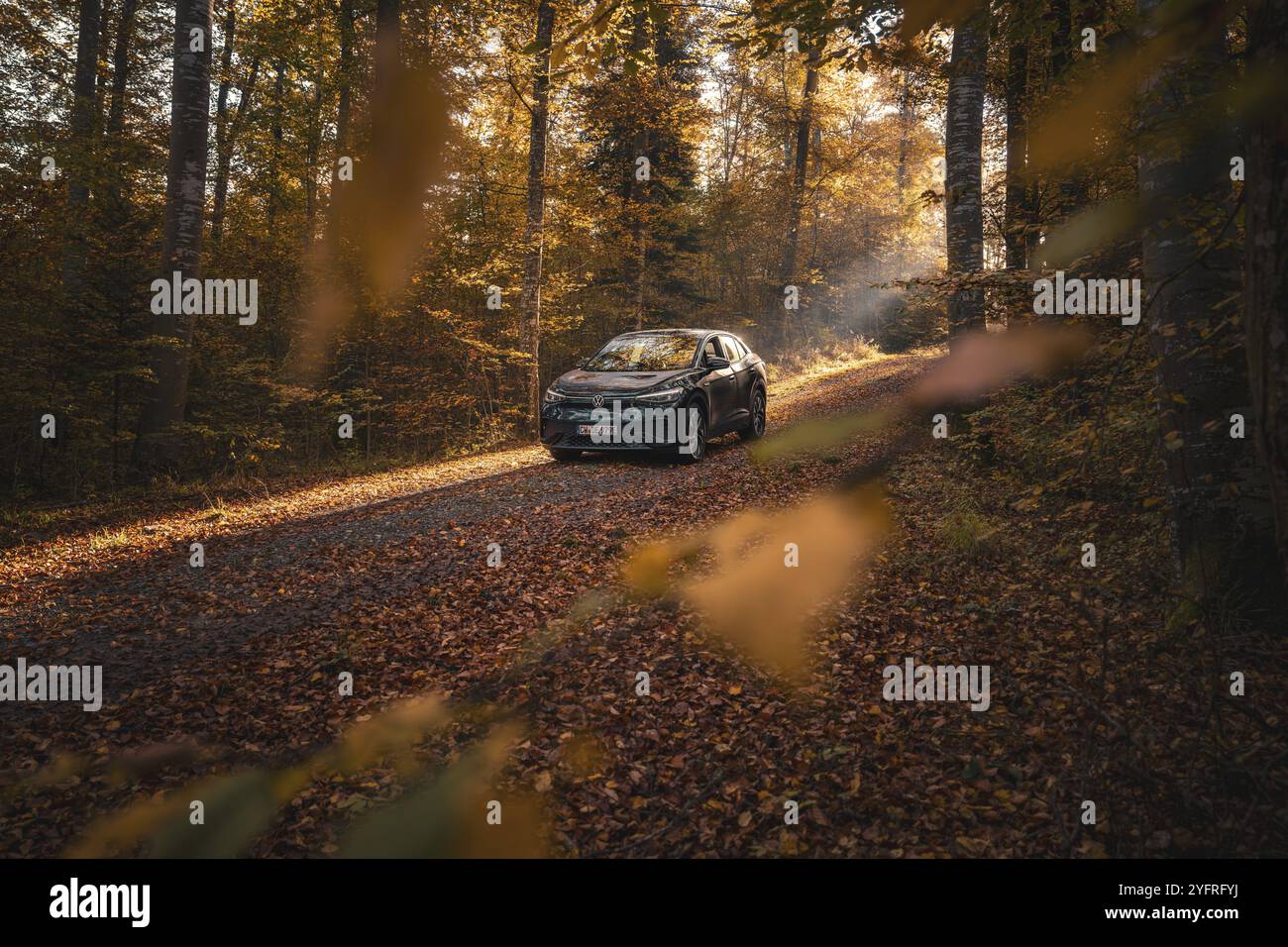 Auto fährt langsam durch einen ruhigen, herbstlichen Waldweg im Sonnenlicht, Elektroauto VW ID5, Gechingen, Schwarzwald, Deutschland, Europa Stockfoto