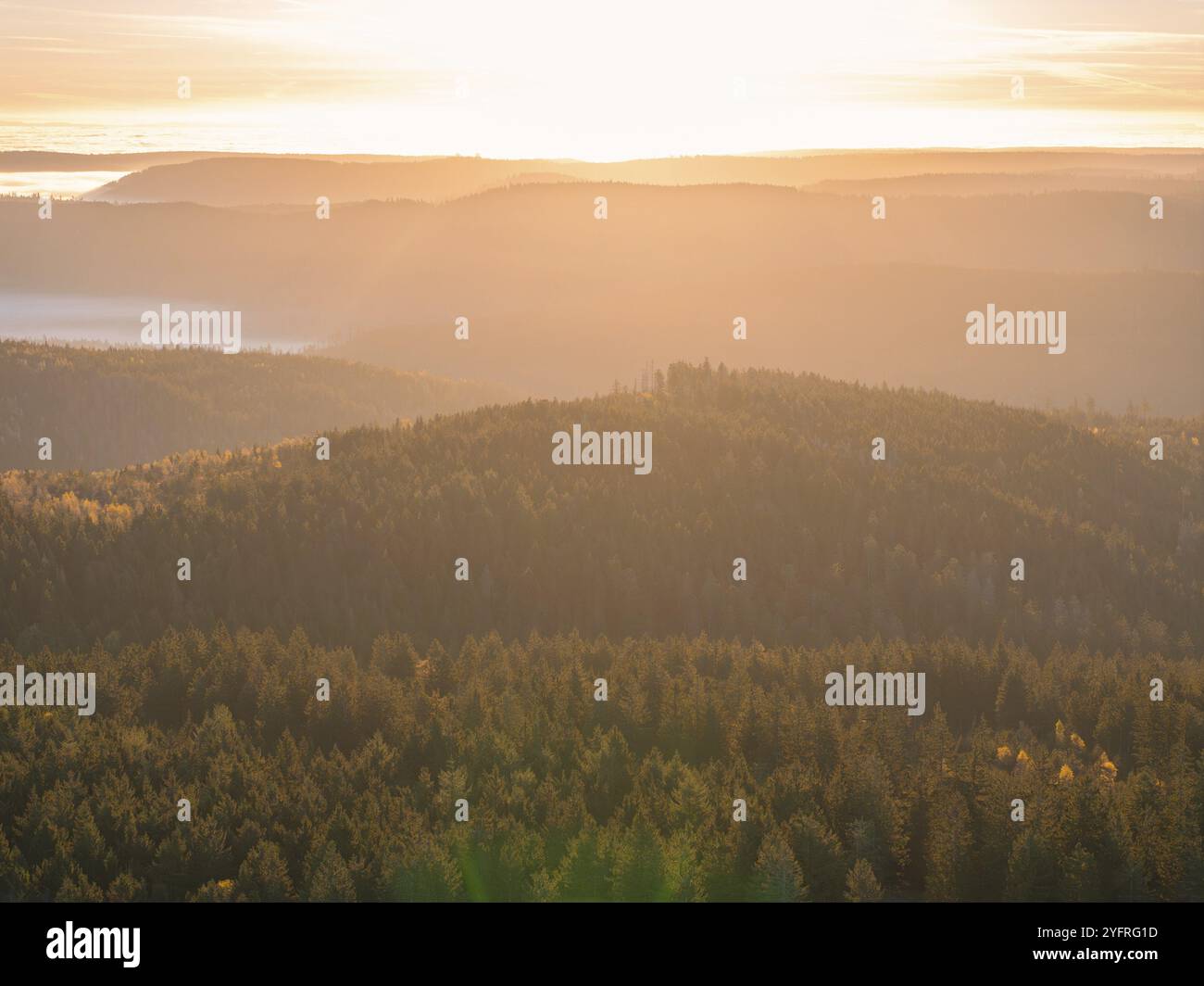 Warmes Sonnenlicht über bewaldeten Hügeln bei Sonnenaufgang, ruhige Atmosphäre, Schwarzwald, Deutschland, Europa Stockfoto