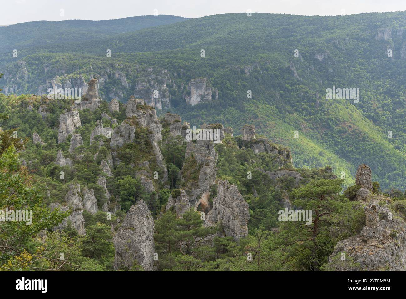 Die Stadt der Steine, im Grands Causses Regional Natural Park, als Naturstätte mit Dourbie Gorges am Boden. Aveyron, Cevennen, Frankreich, Europa Stockfoto