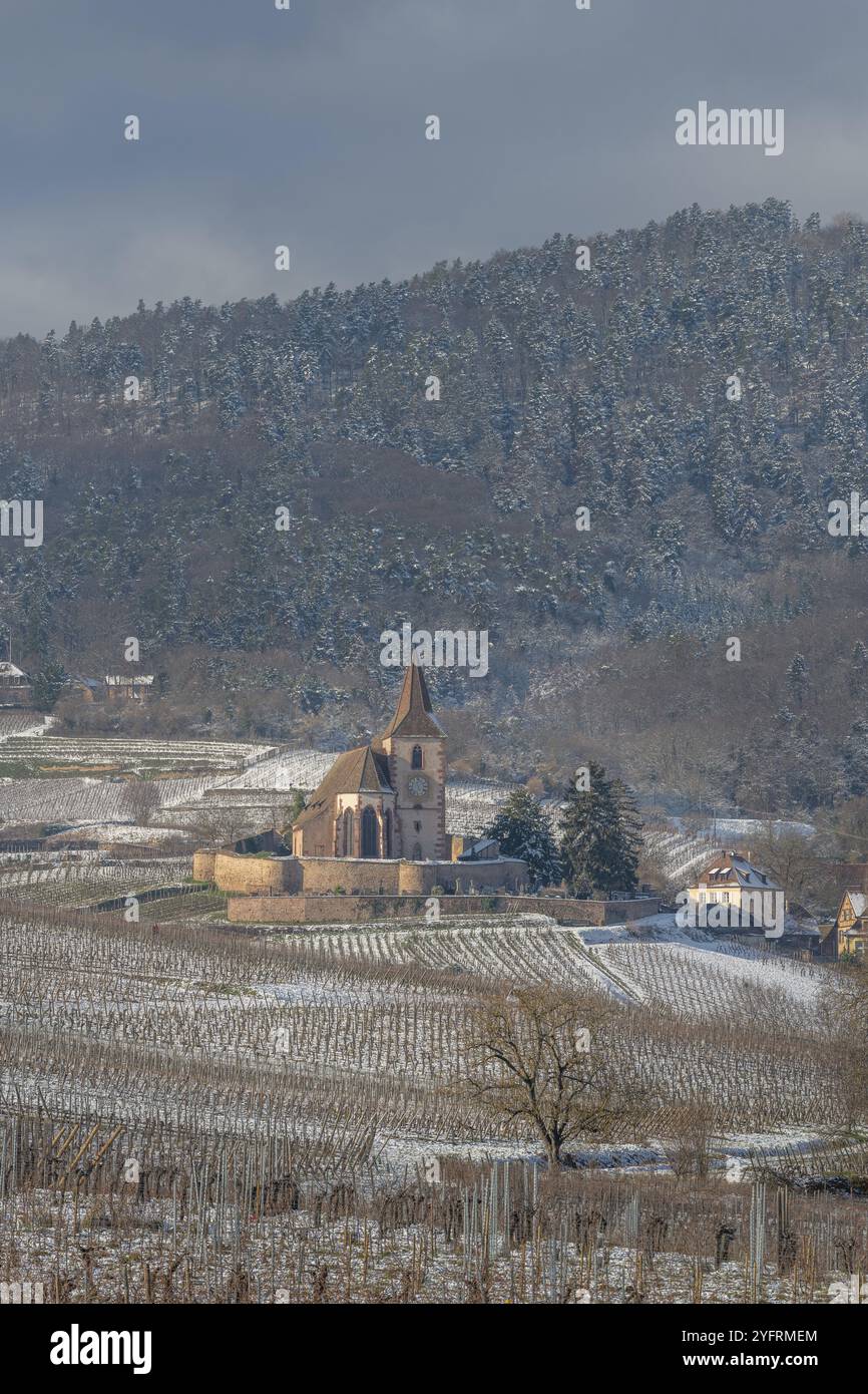 Gemischte Kirche Saint-Jacques-le-Majeur unter dem Schnee in der Nähe der Weinstraße. Hunawihr, Elsass, Frankreich, Europa Stockfoto