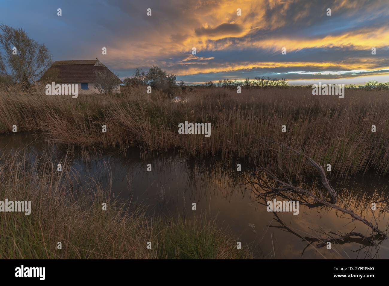 Strohhütte Gardians Hütte in den Sümpfen bei Sonnenuntergang. Saintes Maries de la Mer, Parc naturel regional de Camargue, Arles, Bouches du Rhone, Provence Al Stockfoto