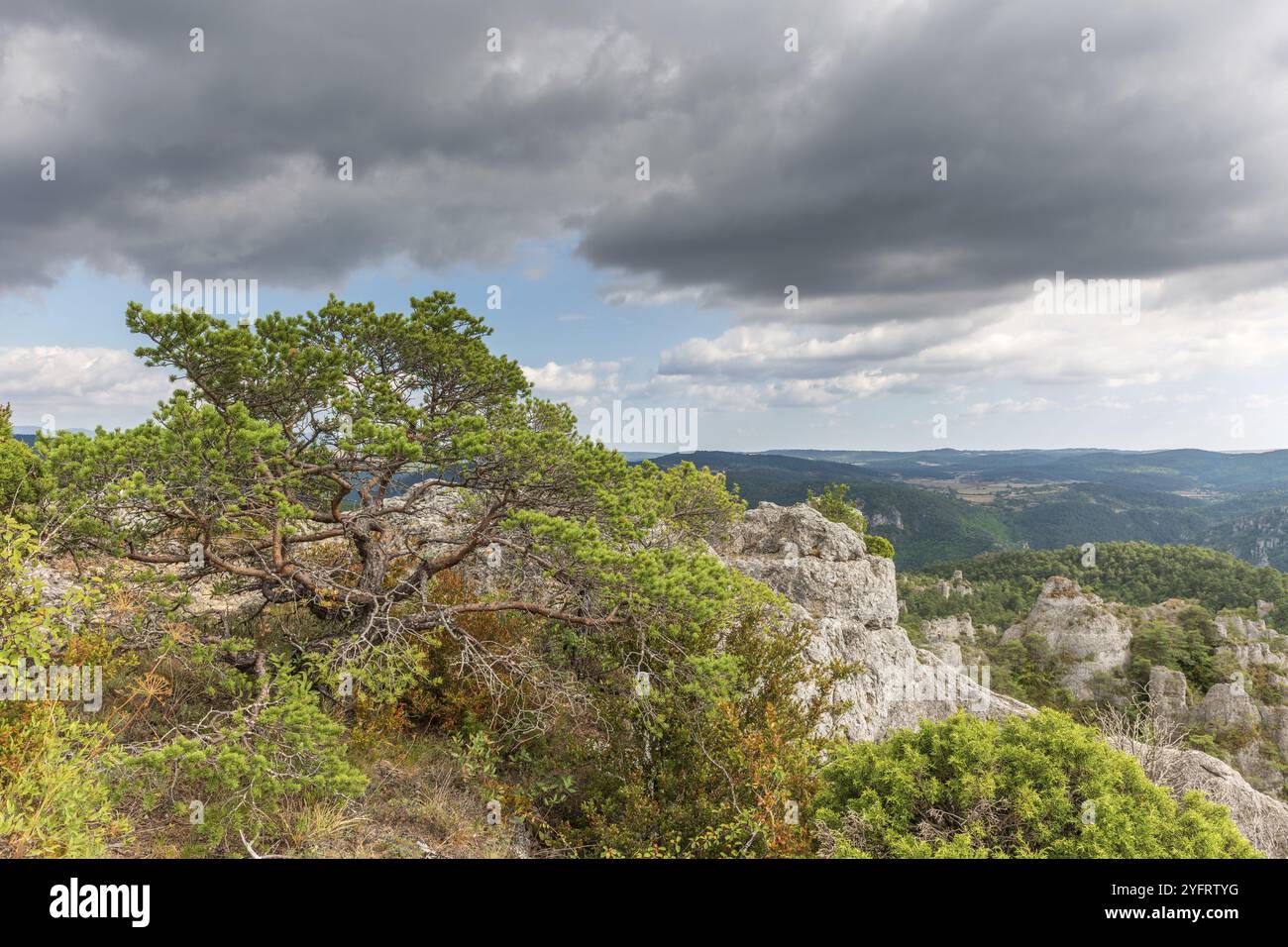 Die Stadt der Steine, im Grands Causses Regional Natural Park, als Naturstätte mit Dourbie Gorges am Boden. Aveyron, Cevennen, Frankreich, Europa Stockfoto