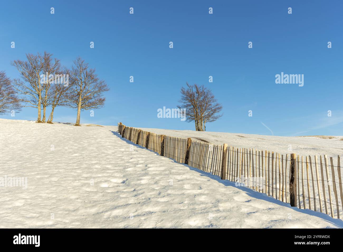 Schnee in den Bergen an einem sonnigen Tag. Frankreich, Vogesen Stockfoto