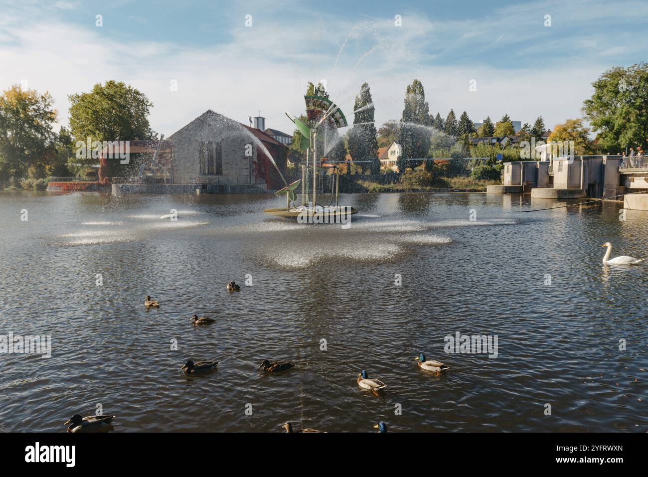 Bietigheim-Bissingen in Deutschland. Der Stadtpark von Bietigheim-Bissingen, Baden-Württemberg, Deutschland, Europa. Autumn Park und h Stockfoto