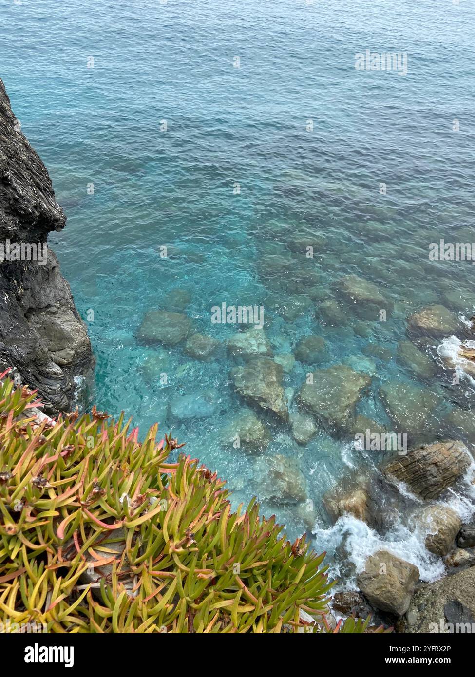 Nahaufnahme des klaren Meeres und der mediterranen Pflanzen an einem bewölkten Tag in Monterosso al Mare, Cinque Terre, Ligurien, Italien - Smartphone-aufgenommenes Stockfoto