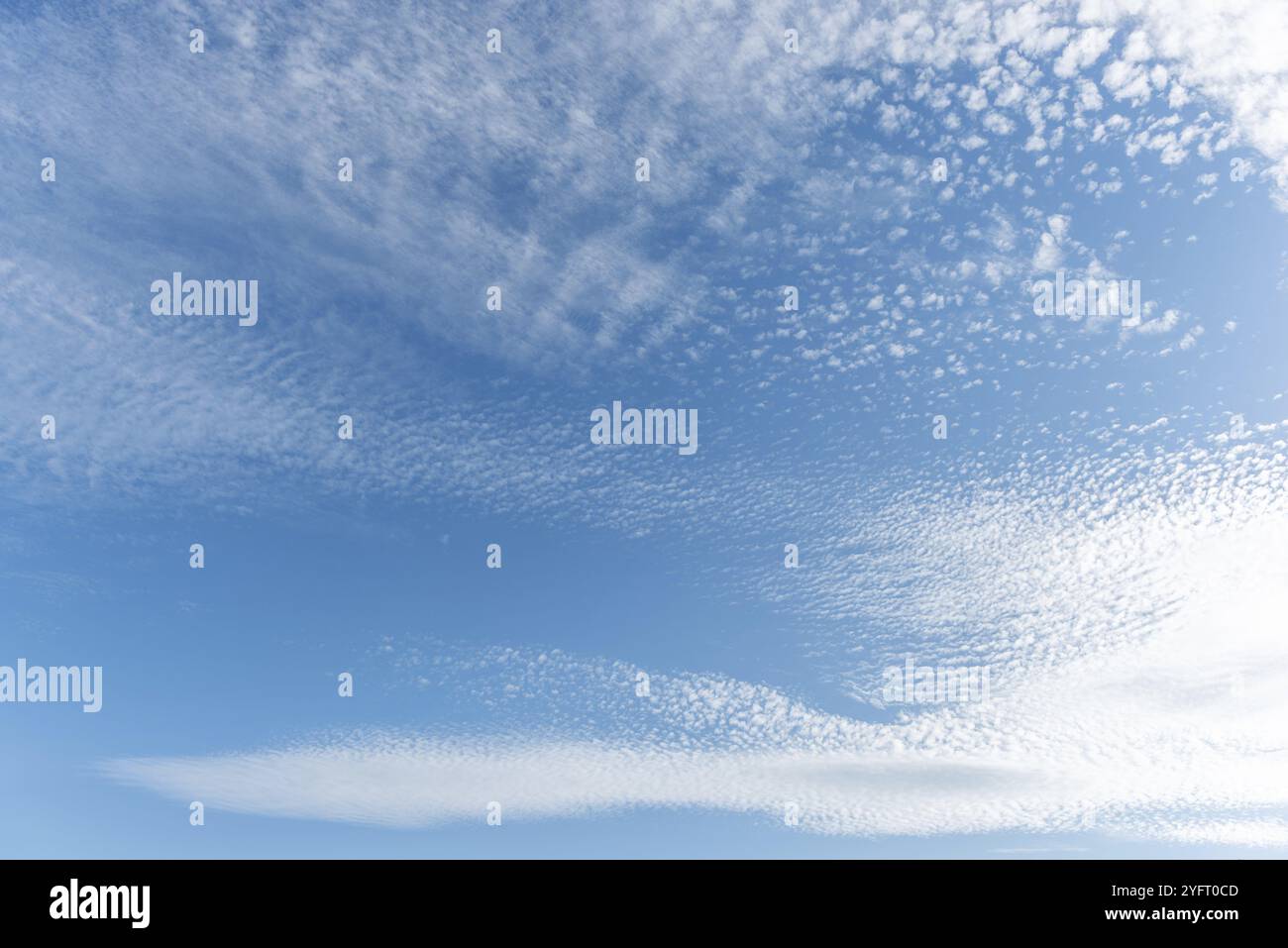 Gesprenkelter Himmel, geformt durch Wolken von Altocumulus stratiformis. BAS-Rhin, Collectivite europeenne d'Alsace, Grand Est, Frankreich, Europa Stockfoto