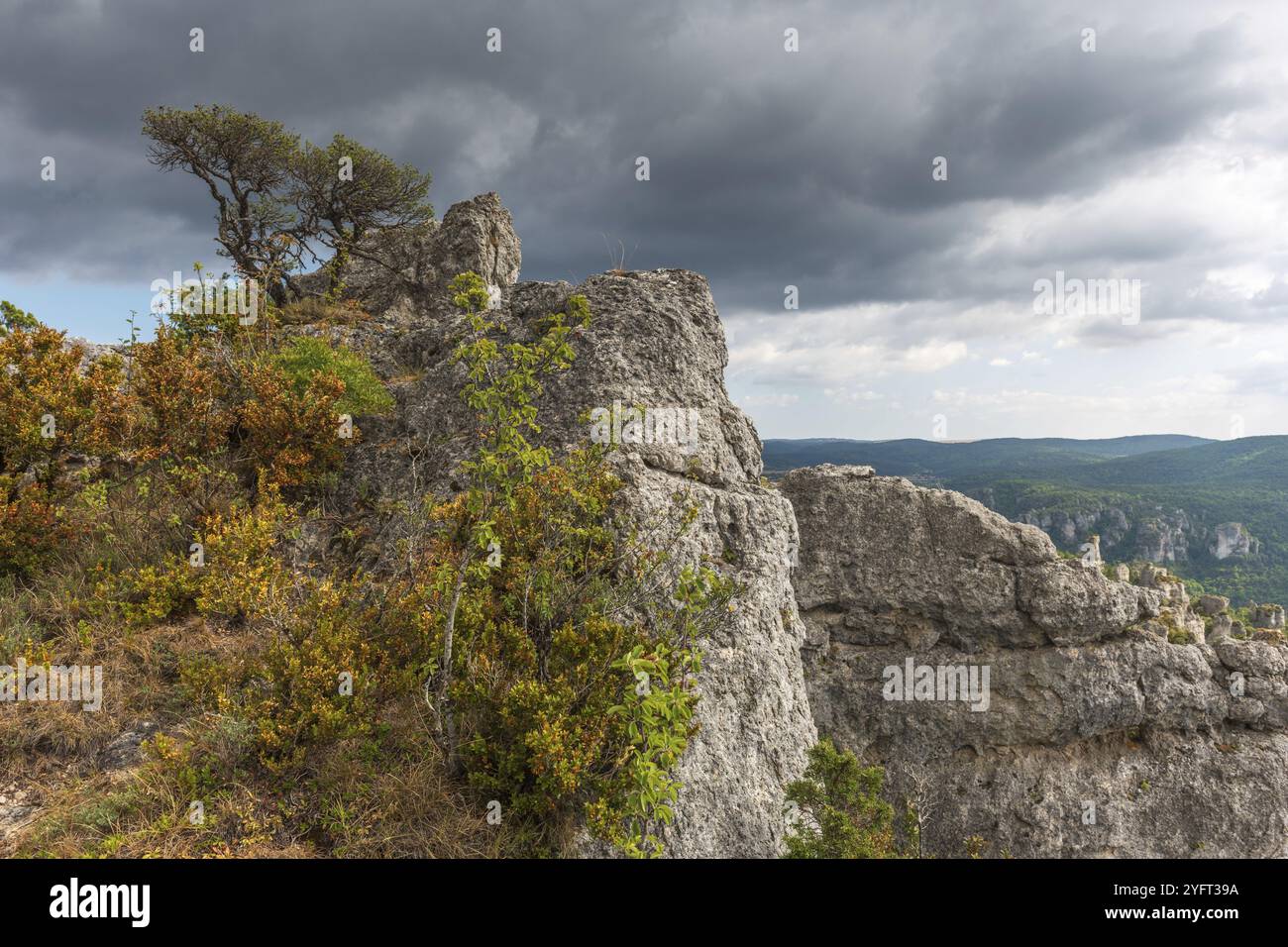 Die Stadt der Steine, im Grands Causses Regional Natural Park, als Naturstätte mit Dourbie Gorges am Boden. Aveyron, Cevennen, Frankreich, Europa Stockfoto