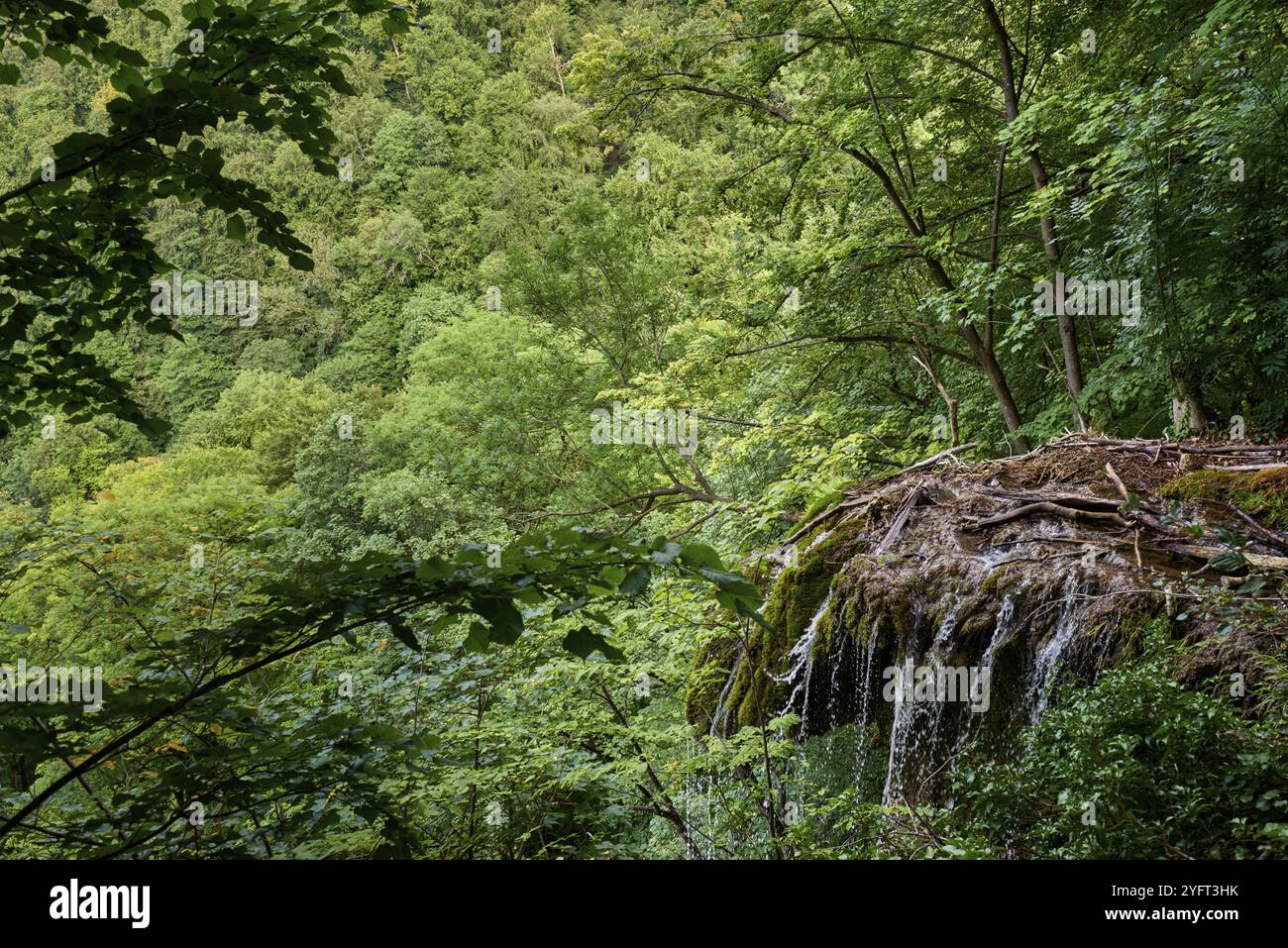 Summer Tranquility Haven: Ein ruhiger Urlaub auf dem Land mit malerischem Blick auf die Berge in Deutschland. Mountain River Serenity: Ein ruhiger Zufluchtsort inmitten landschaftlicher Landschaften Stockfoto