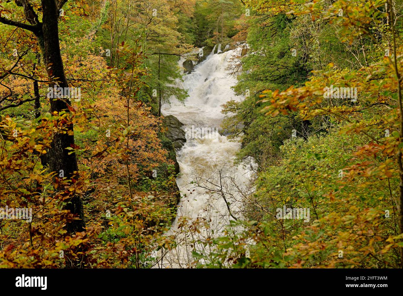 Seichte Wasserfälle Im Herbst Stockfoto