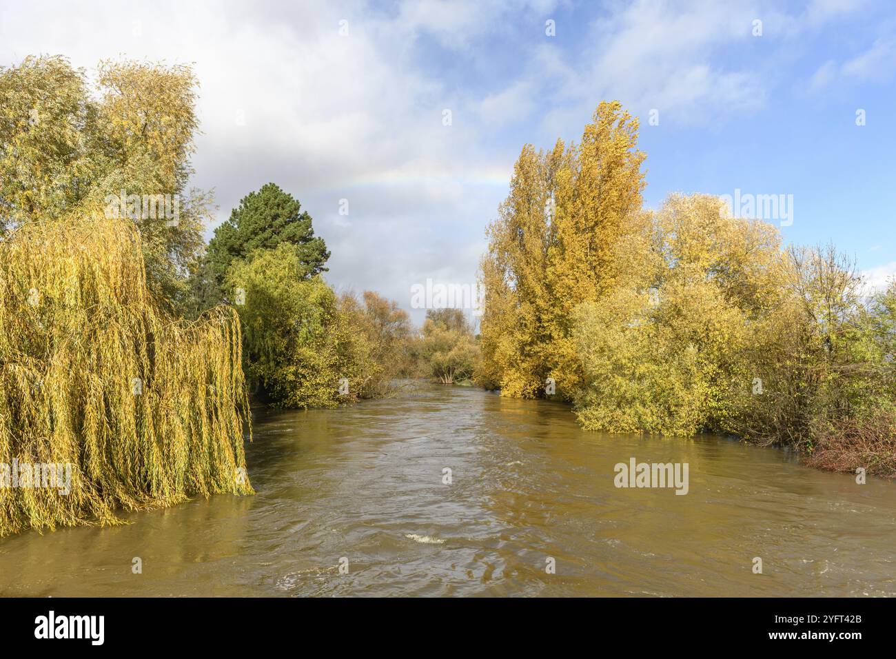 Regenbogen über einem überfluteten Fluss. Herbstlandschaft. BAS-Rhin, Collectivite europeenne d'Alsace, Grand Est, Frankreich, Europa Stockfoto