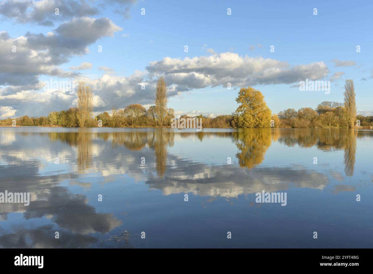 Überflutete Wiese nach starkem Regen. Herbstlandschaft. BAS-Rhin, Collectivite europeenne d'Alsace, Grand Est, Frankreich, Europa Stockfoto