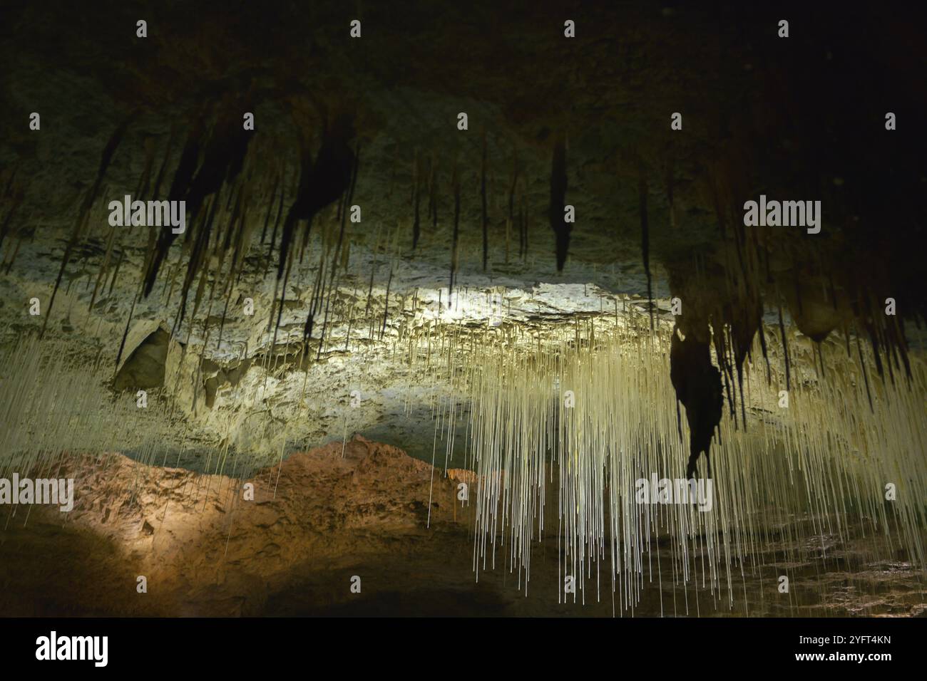 Die Höhlen von Choranche (Vercors) enthalten eine außergewöhnlich lange Fistel von 3,20 m Länge Stockfoto