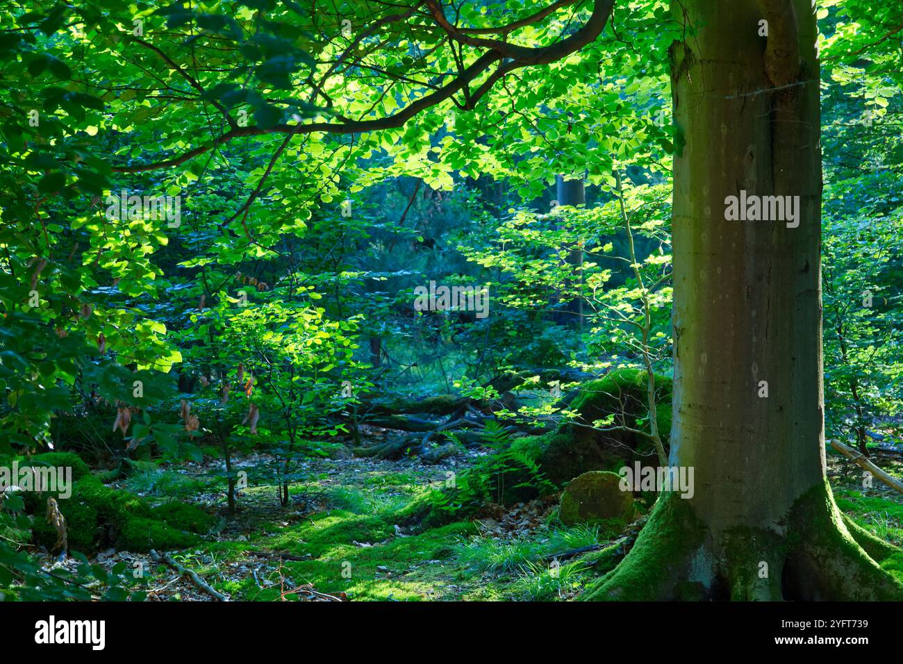 Dreidimensionale Waldlandschaft mit einem Baum in hellgrünem Laub und vielfältiger Vegetation in mehreren Grüntönen, die das Leben in den Wäldern darstellen Stockfoto