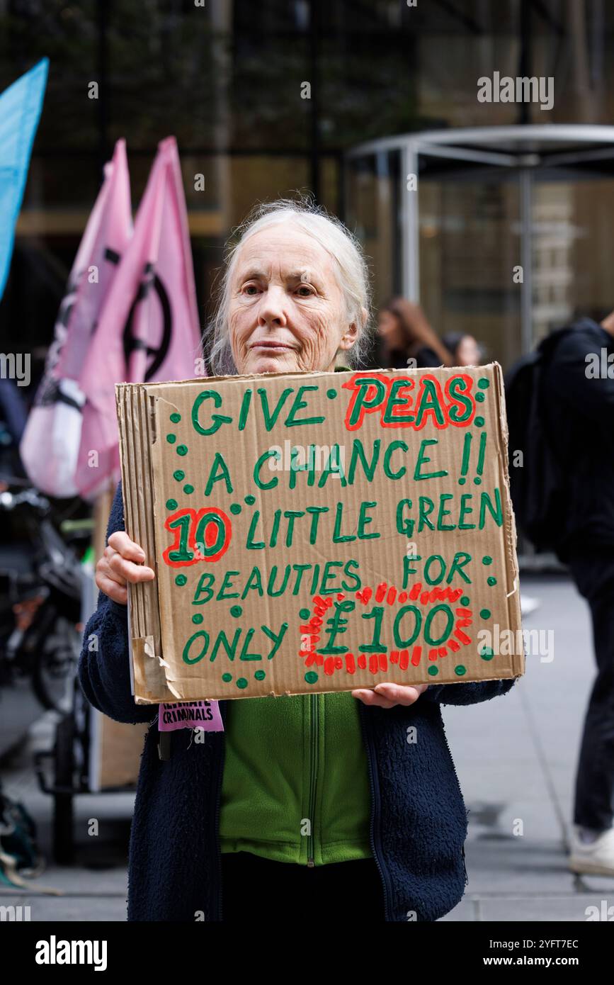 Oktober 2024. City of London, Großbritannien. Der Protest der Extinction Rebellion „sichert unser Überleben“. Drei Tage in dieser Woche rufen Tausende von Menschen, die die XR-Kampagne „versichert unser Überleben“ unterstützen, die Versicherer auf, die Versicherung aller neuen Öl-, Gas- und Kohleprojekte einzustellen. Projekte mit fossilen Brennstoffen – Kohle, Gas und Öl – können nicht ohne Versicherung durchgeführt werden. Damit ist die Versicherungsbranche in eine einzigartige Position versetzt, um Einfluss auf die Zukunft unserer Welt zu nehmen. Am Dienstag stand die Lebensmittelknappheit im Mittelpunkt; Hunderte von Demonstranten trafen sich auf Willis Towers Watson plc, „WTW“, dessen Hauptquartier sich neben Lloyd’s befindet Stockfoto