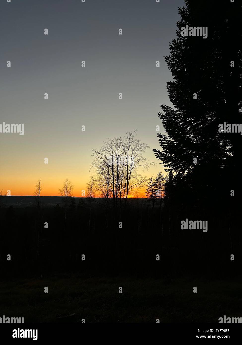 Herbsthaare im Ar - Smartphone-aufgenommenes Stockfoto