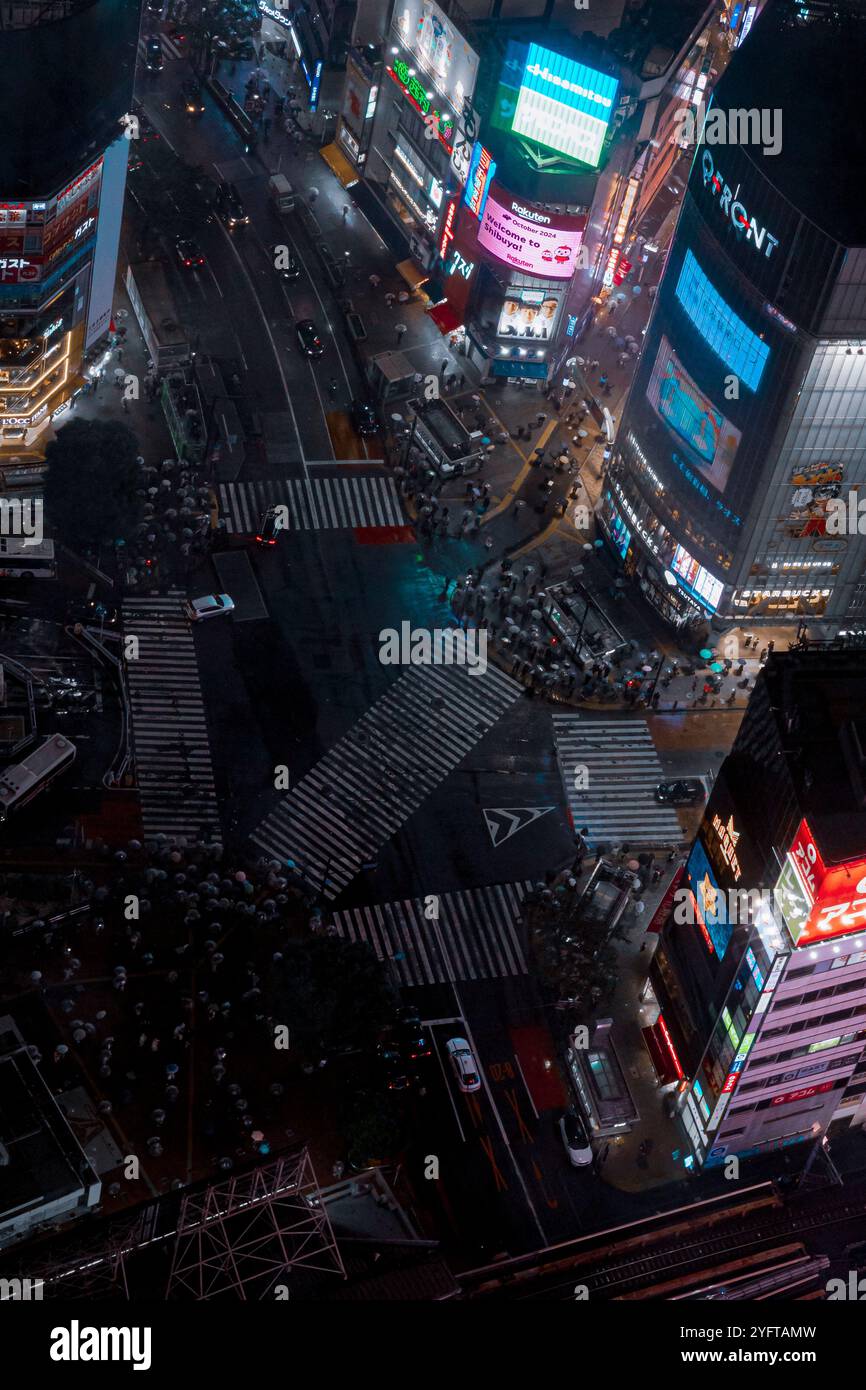 Skyline von Tokio bei Nacht, Blick vom Shibuya Sky Building, Tokio © Giorgia de Dato Stockfoto