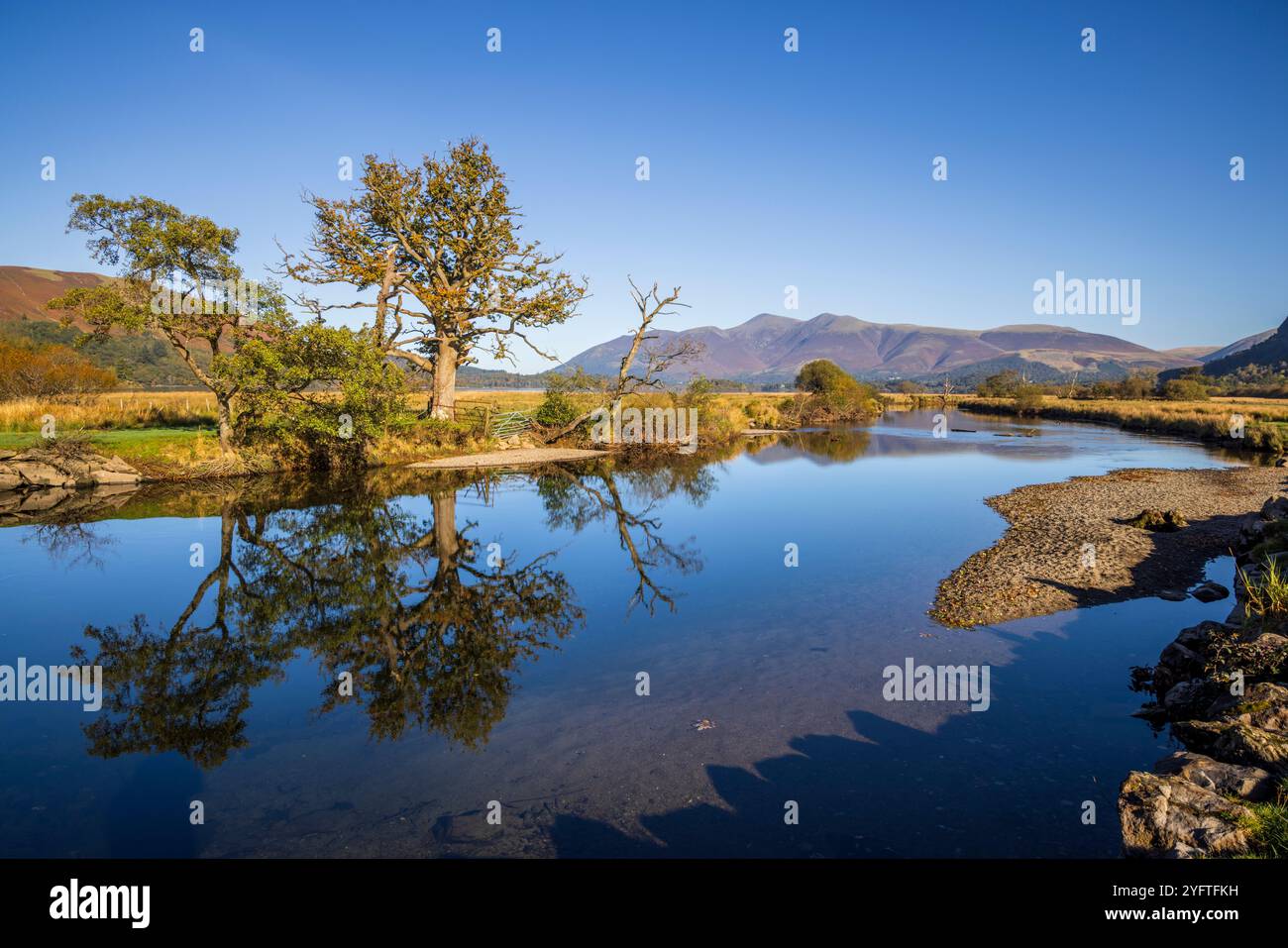 Das klare Wasser des Flusses Derwent, als er in Derwent Water mündet, mit Skiddaw im Hintergrund, Lake District, Cumbria, England Stockfoto