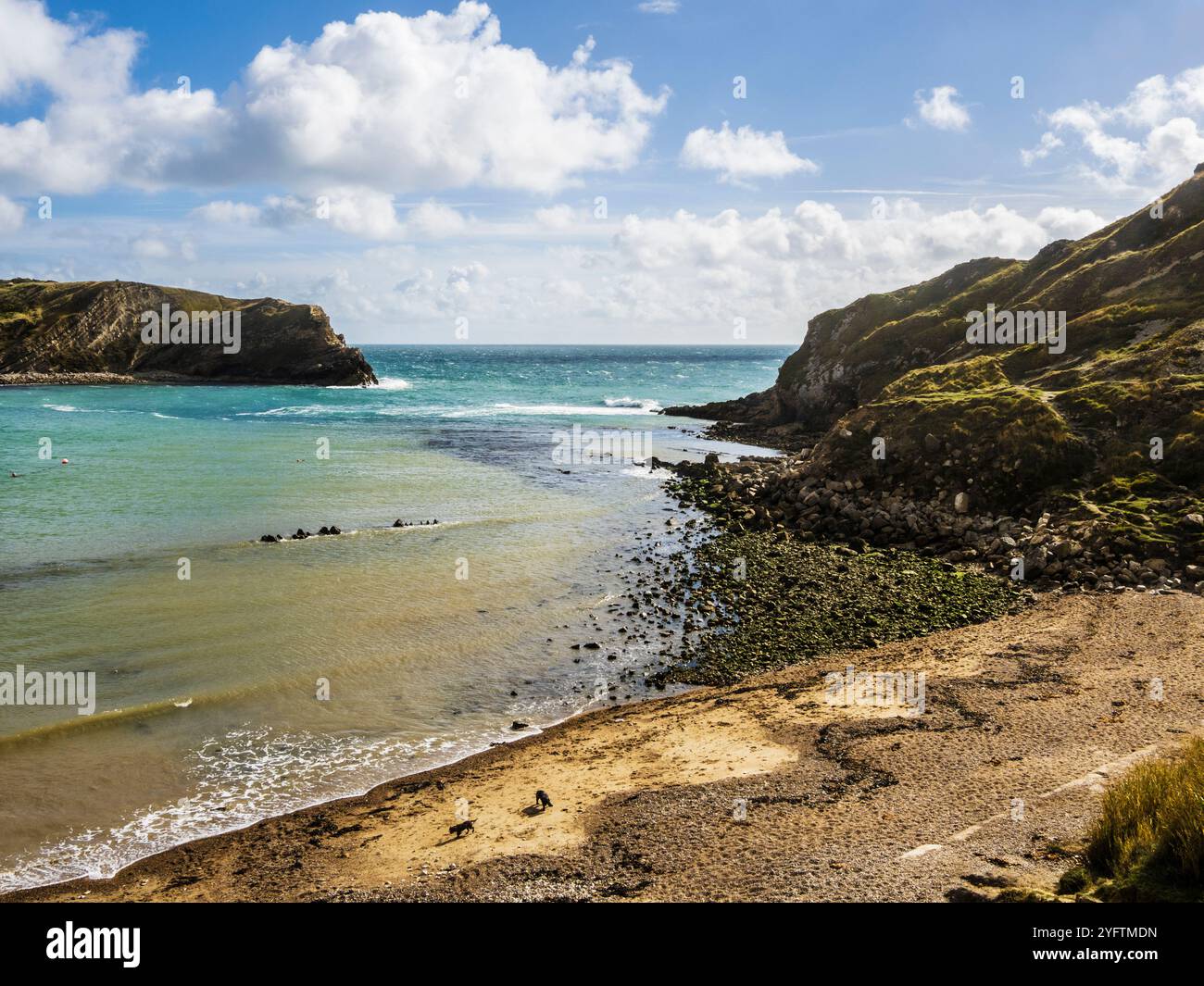 Lulworth Cove an der Jurassic Coast in Dorset. Stockfoto