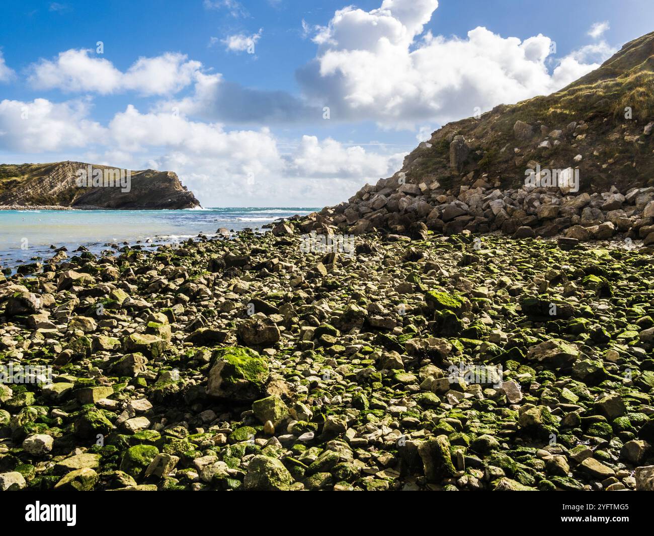 Lulworth Cove an der Jurassic Coast in Dorset. Stockfoto