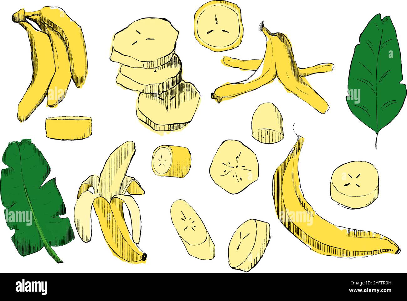 Handgezeichnetes Bananenset. Einfaches Ziehen ganzer, geschälter Bananen, in Scheiben geschnitten, gehackt, leere Schale, tropische Blätter. Vektorabbildung Stock Vektor