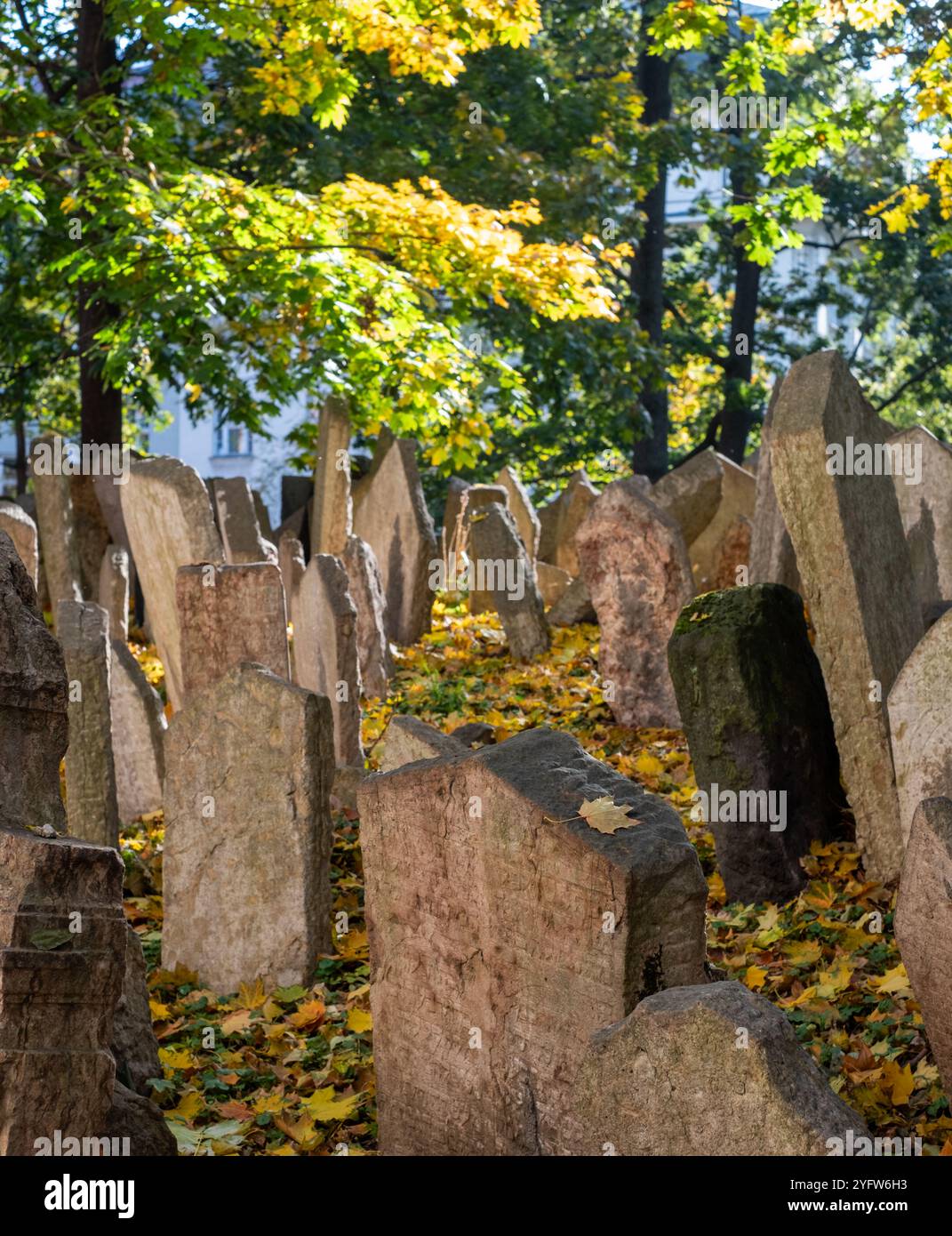 Historische Grabsteine auf dem überfüllten alten jüdischen Friedhof im Prager Ghettobereich in der Tschechischen Republik. Der Platz war begrenzt und die Gräber wurden übereinander gelegt. Stockfoto