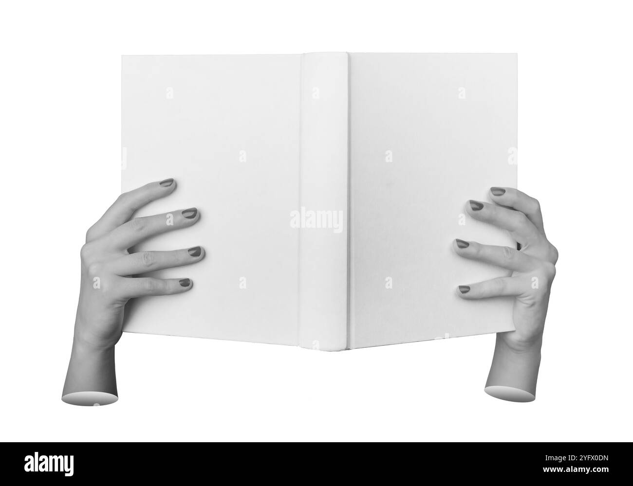 Hardcover-Buch von weiblicher Hand gehalten, Vorderansicht, isoliert. Leeres Deckblatt, saubere Schablone für Modelldesign. Elegante Finger mit polierten Nägeln, Nahaufnahme Stockfoto