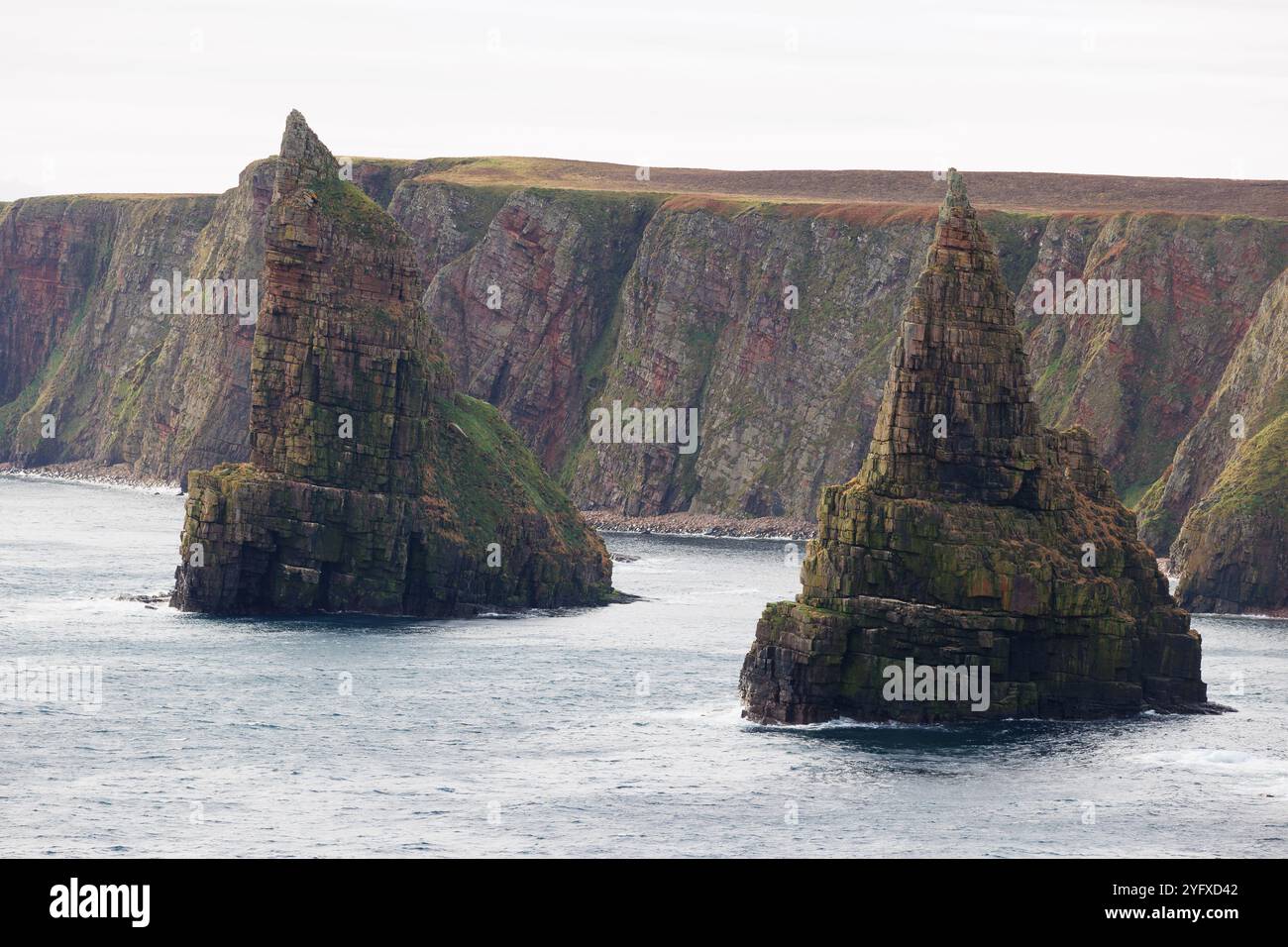 31. Oktober 2024. Duncansby Head, John O'Groats, Schottland. Blick auf die Küstenformationen von Duncansby Stacks in der Nähe von John O'Groats. Stockfoto