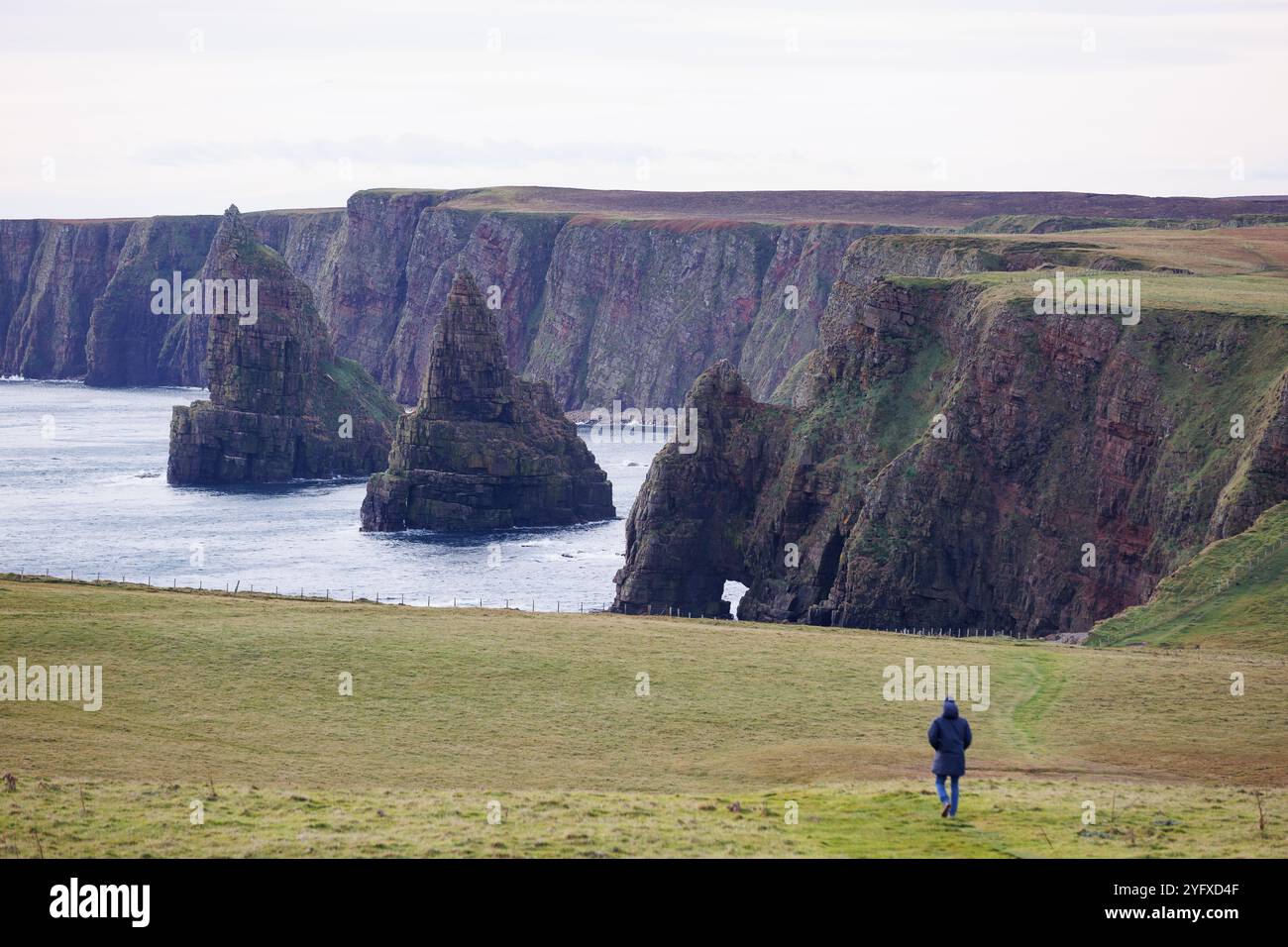 31. Oktober 2024. Duncansby Head, John O'Groats, Schottland. Ein Wanderer spaziert über die Küstenformationen von Duncansby Stacks in der Nähe von John O'Groats. Stockfoto