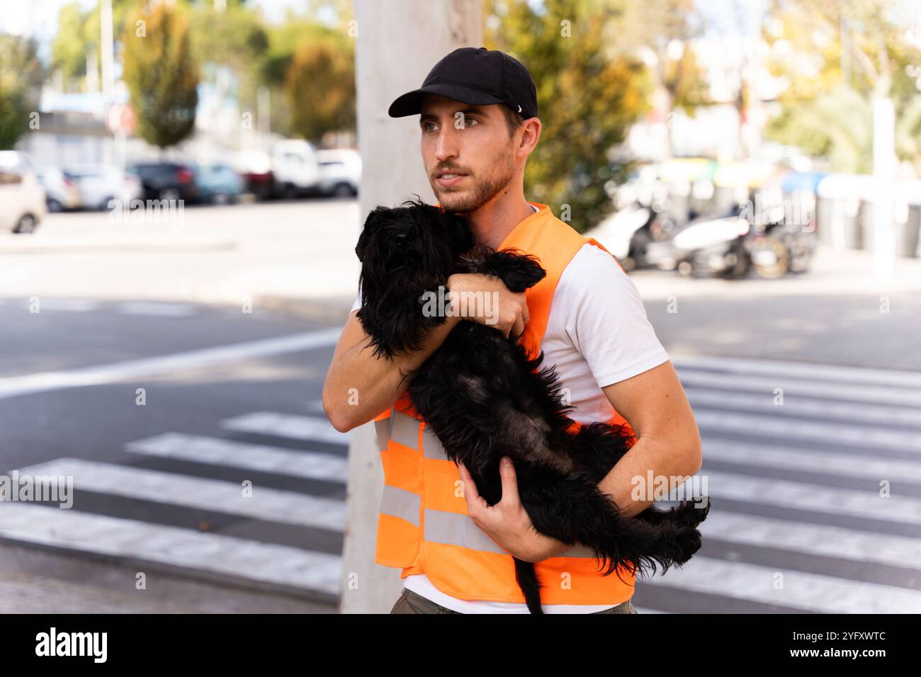 Geretteter Hund von einem Unfall, der in den Armen eines tapferen jungen Mannes lag Stockfoto