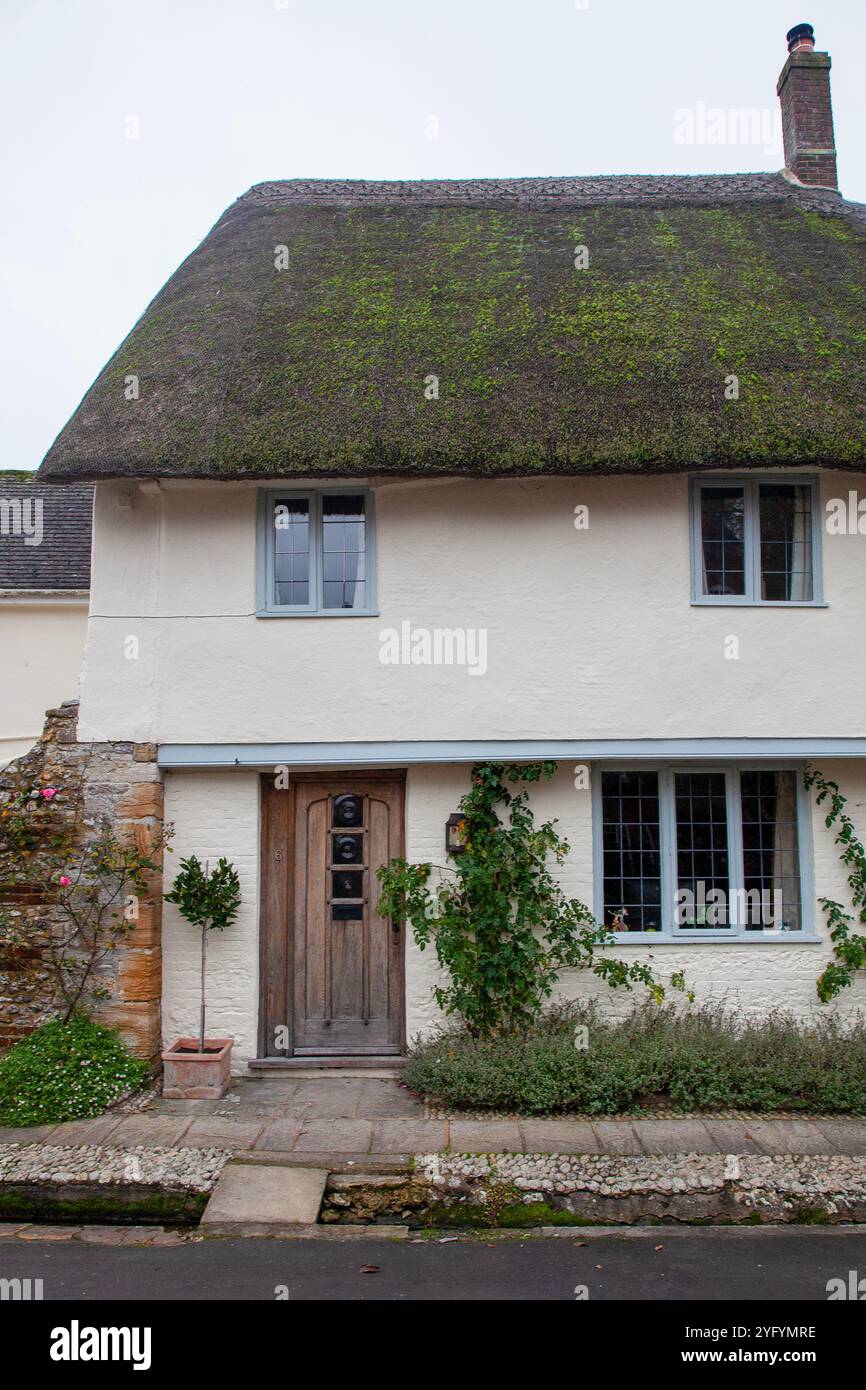 Reetdachhaus, Cerne Abbas, Dorset, England Stockfoto