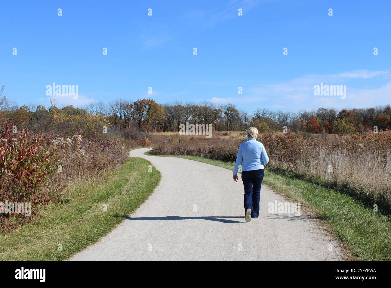 Frau, die im Herbst allein auf einem Feldweg im Herrick Lake Forest Preserve in Wheaton, Illinois, unterwegs ist Stockfoto