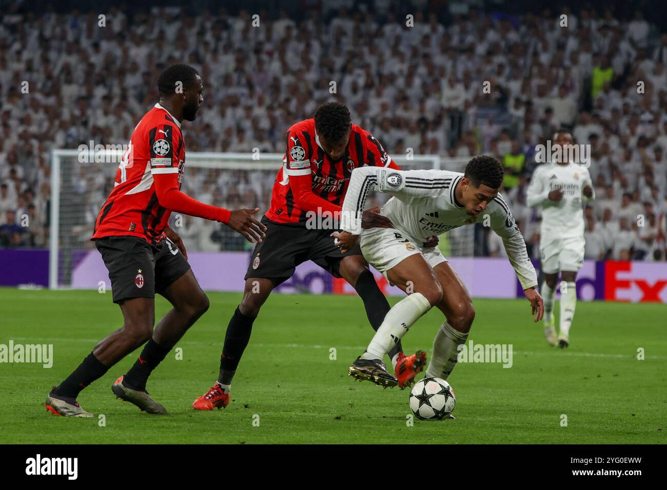 Madrid, Spanien. November 2024. Real Madrid verlor heute Abend in einem Spiel im Santiago Bernabeu Stadion in Madrid gegen den AC Milan in der UEFA Champions League um 1-3. Quelle: D. Canales Carvajal/Alamy Live News Stockfoto
