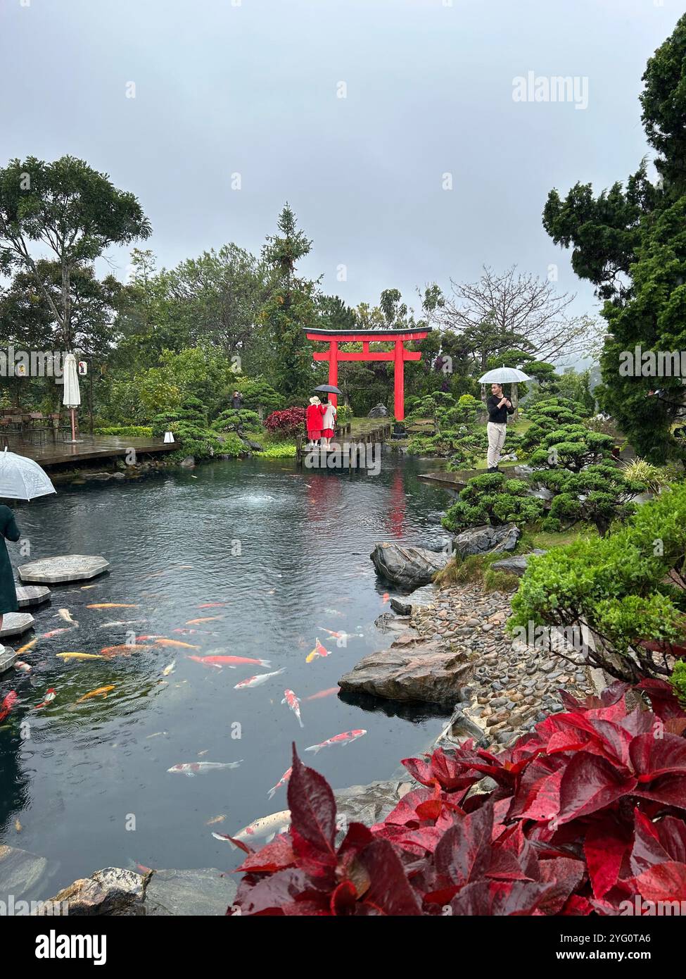 Ruhiger japanischer Garten mit Koi-Teich und Torii-Tor an einem regnerischen Tag Stockfoto