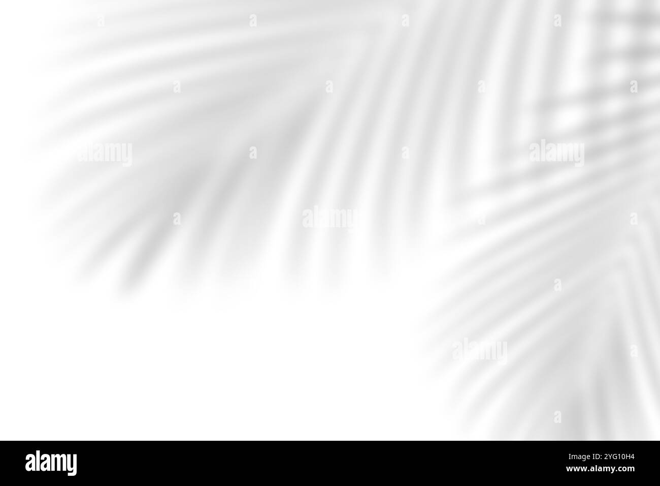 Abstrakter Blattschatten und heller, verschwommener Hintergrund. Natürliche Blätter Schatten und Sonnenlicht auf weiße Betonwände für Hintergründe Stockfoto