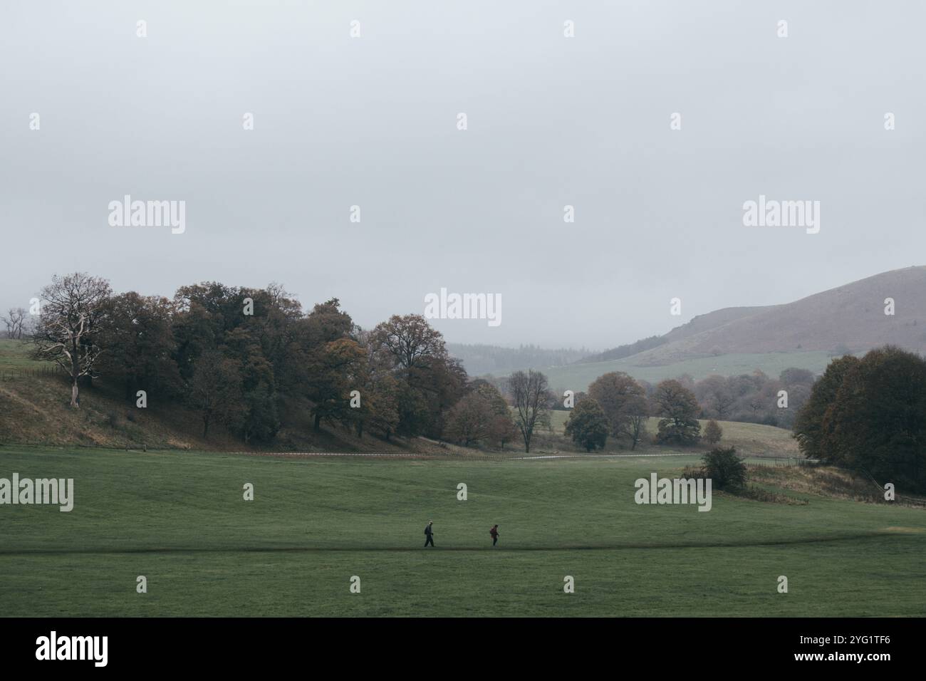 Zwei Menschen laufen auf einem Fußweg durch ein grünes Feld in der Bolton Abbey nahe Skipton im Yorkshire Dales National Park an einem bewölkten Herbsttag. Stockfoto