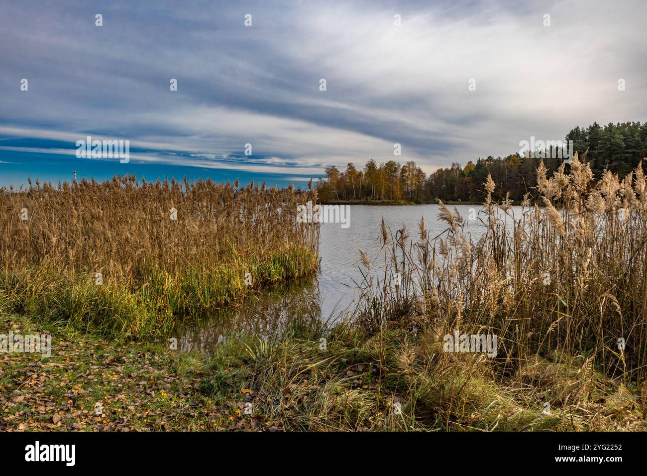 Landschaft am Stausee in Blachownia, ein Spaziergang um den See im Herbst Stockfoto