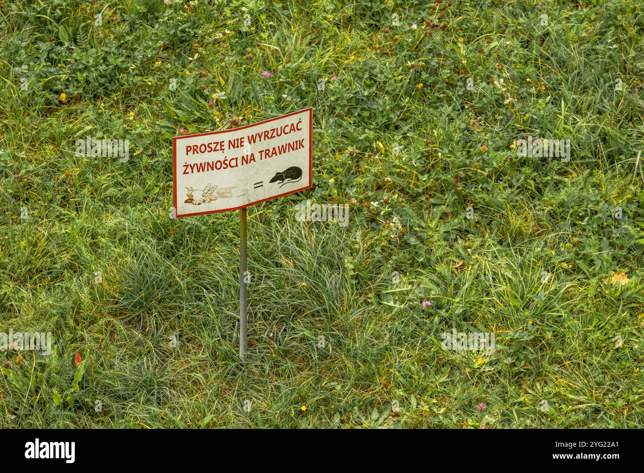 Ein Schild, das vor Ratten warnt Stockfoto