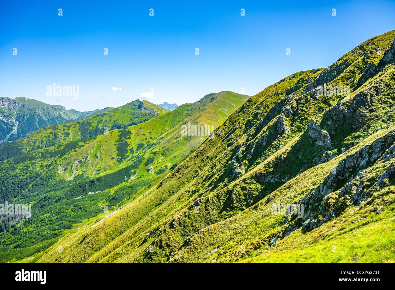 Die üppig grünen Hänge der westlichen Tatra bieten eine lebendige Vegetation unter einem klaren blauen Himmel. Diese ruhige Landschaft lädt Wanderer und Naturliebhaber ein, ihre Schönheit zu erkunden. Stockfoto